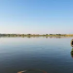 Tómajor