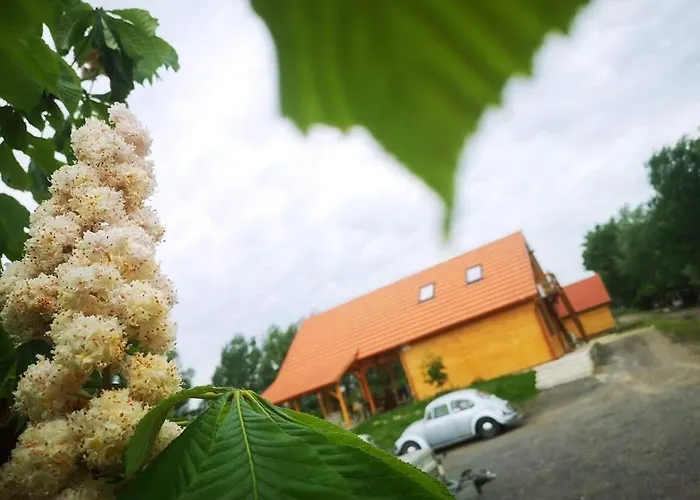 Tomajor Vendeghazak Daire Tiszaeszlar