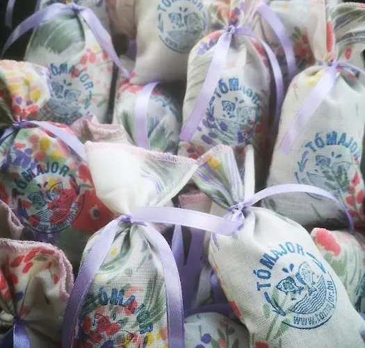 Daire Tomajor Vendeghazak *