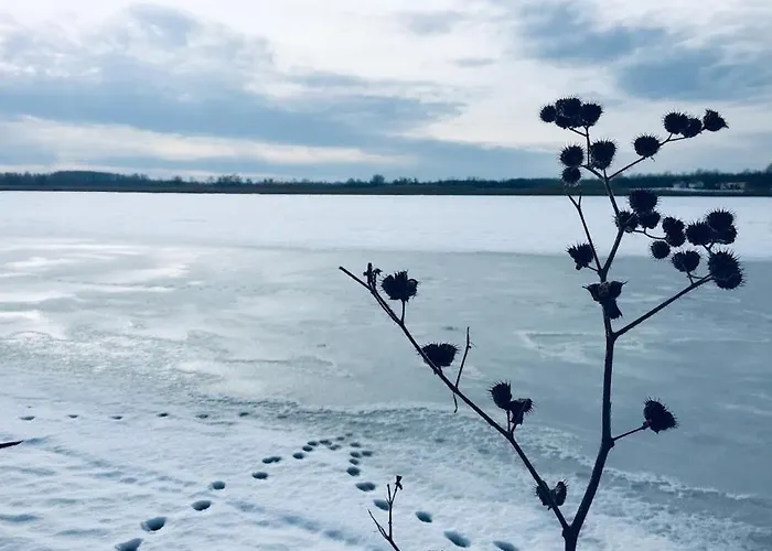 Tomajor Vendeghazak Daire